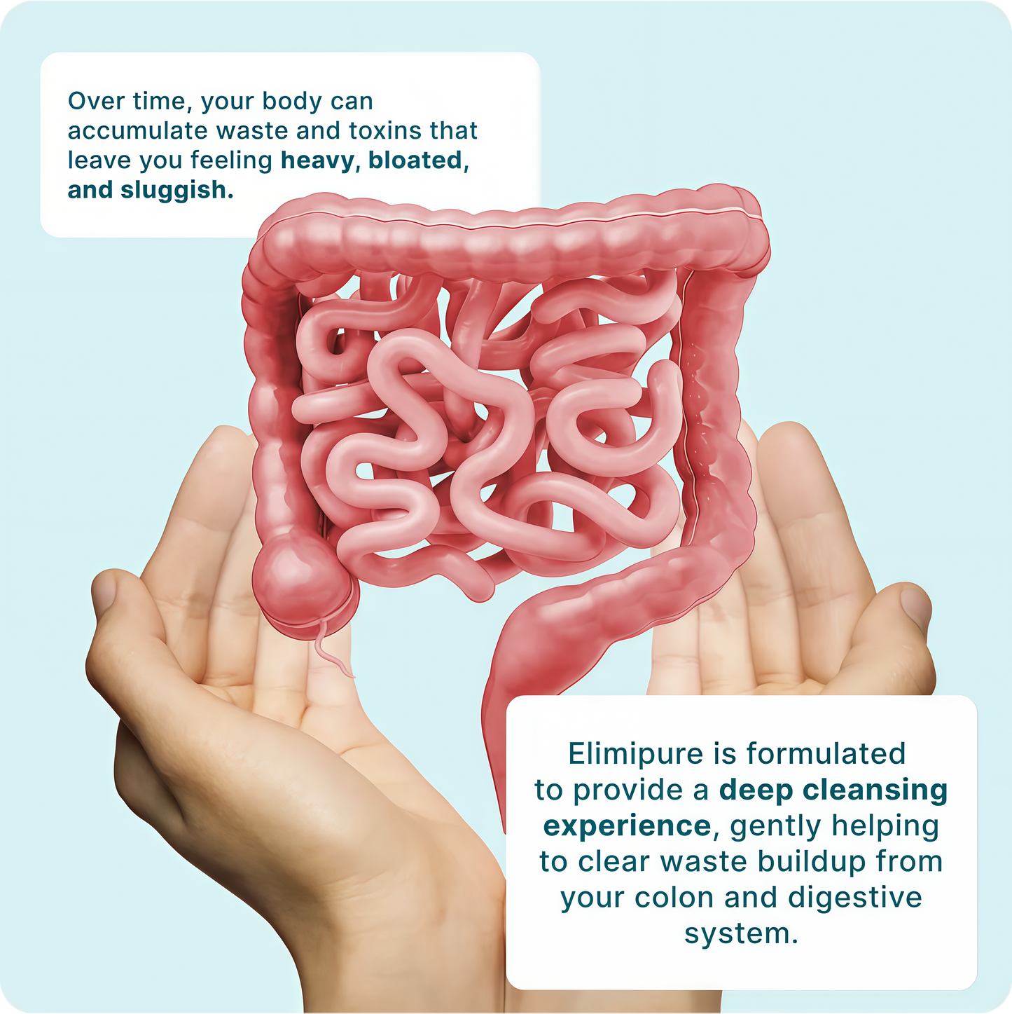Gut Cleanse & Restore Supplement: Natural & Effective Detox Cleanse Capsules | Fortify Your Microbiome | Effortless Morning Stools | Restore Your Gut from The Inside Out